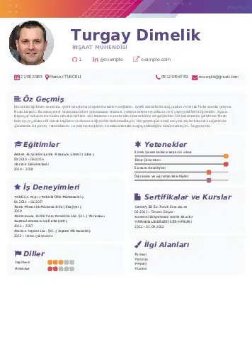 İnşaat Mühendisi Cv Örnekleri cv indir